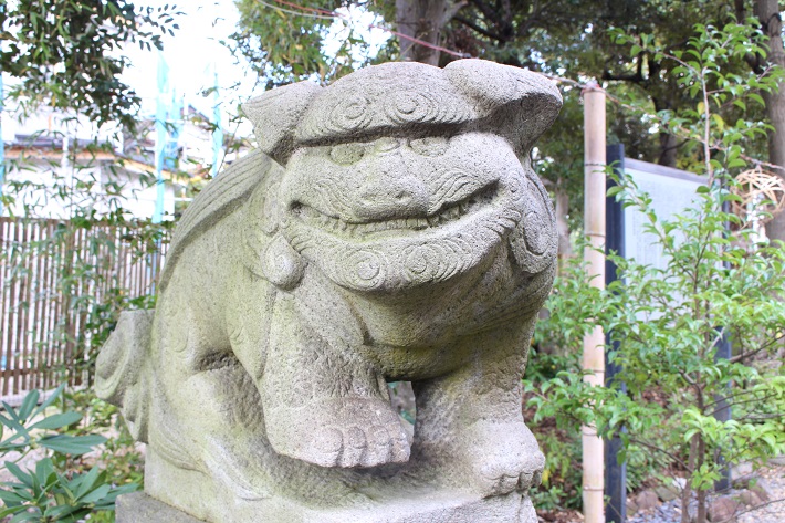 菊田神社の狛犬