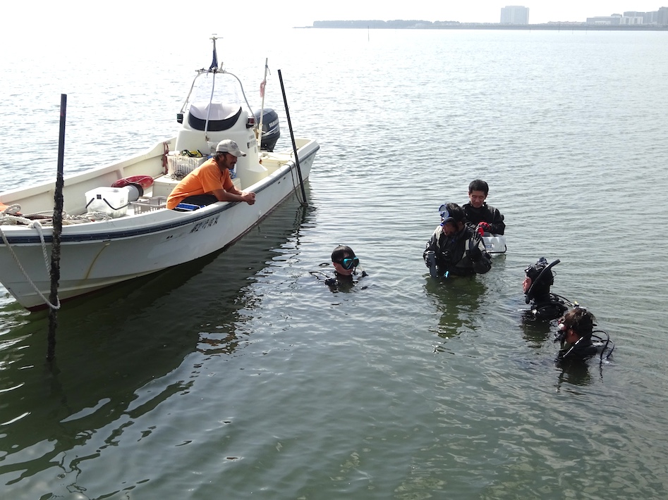 アマモ移植で三番瀬の自然を復活する