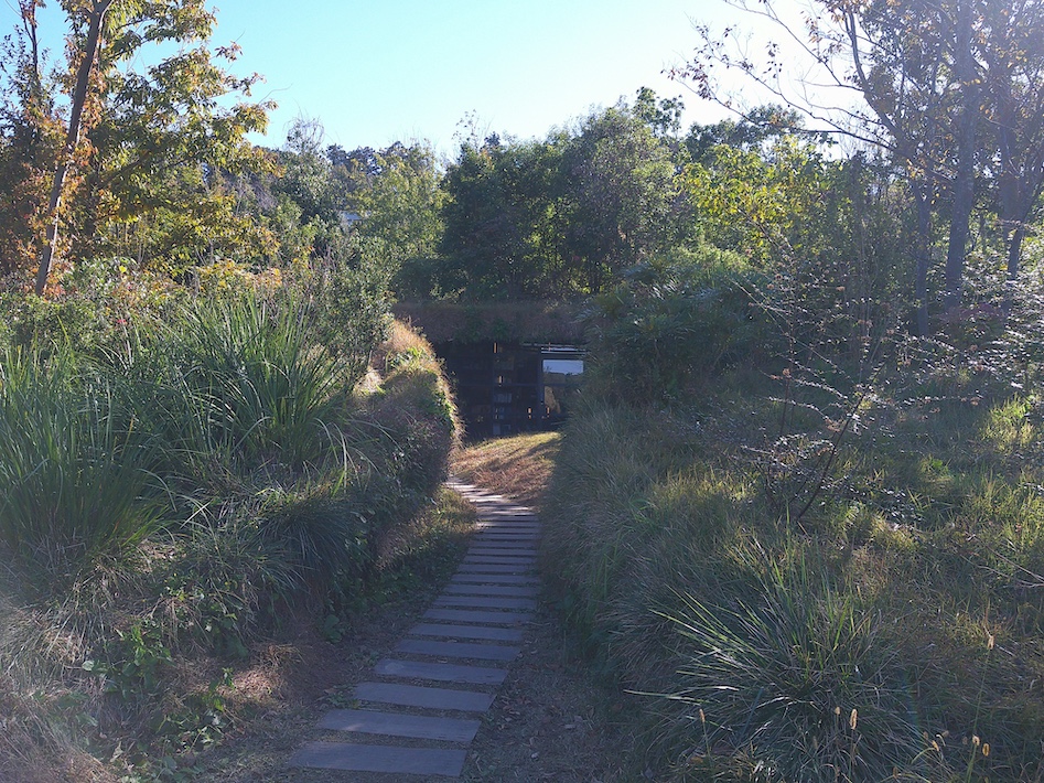 地中に潜り込んで本と出合う 知を蓄え想像力を養う「地中図書館」