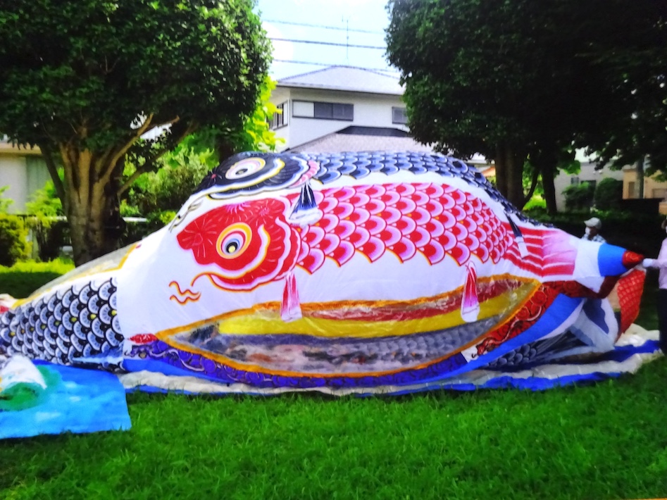 いきのこれ!! まなぼー祭