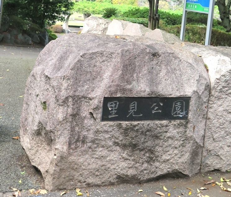 里見の歴史を見つめてきた巨木も　里見公園の木々を訪ねて