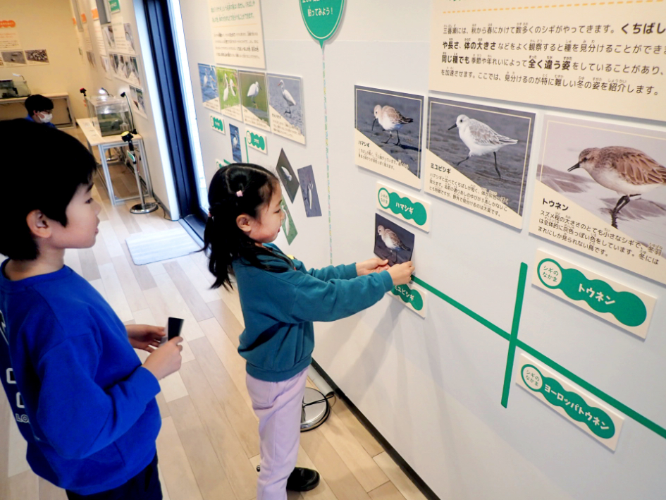 鳥マグネットで遊びながら学ぶ