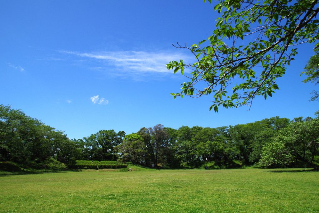 佐倉城址公園