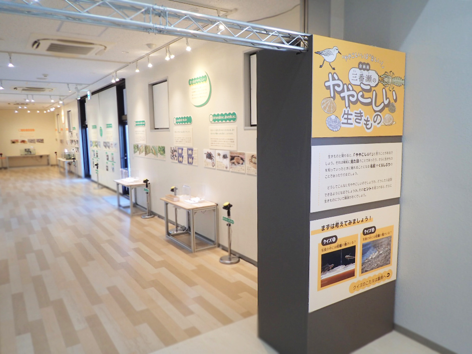 見て触れる生き物展