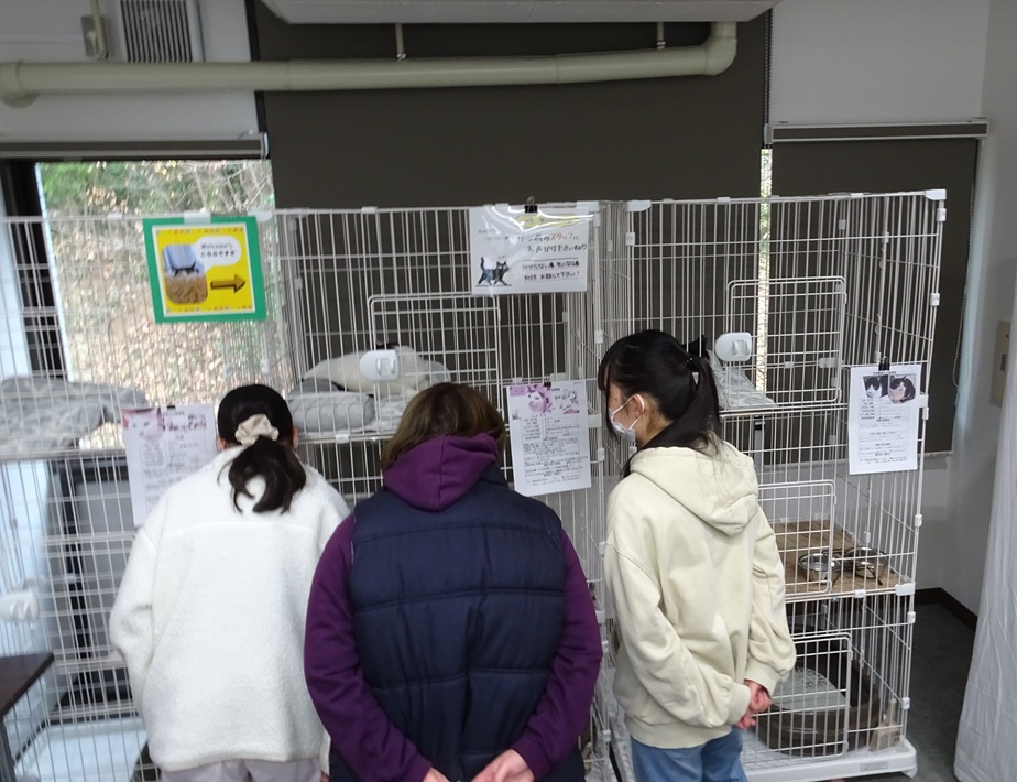 画期的!地域猫600匹を救いたい「いちにゃんサポート」オープン【市川市】