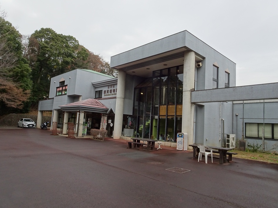 画期的!地域猫600匹を救いたい「いちにゃんサポート」オープン【市川市】