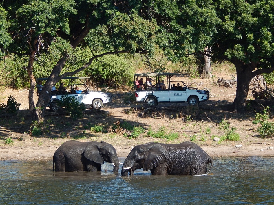 水浴びをするゾウのわきをサファリカが行く