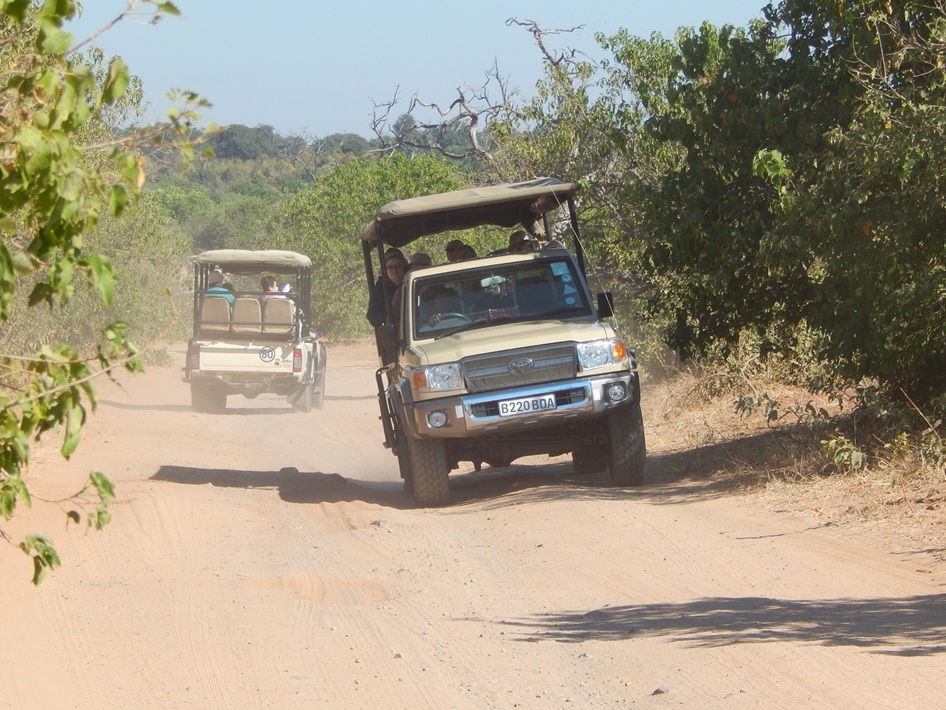 チョベ国立公園内の無舗装の道を、世界中からやってくる観光客を載せてサファリカーが行く