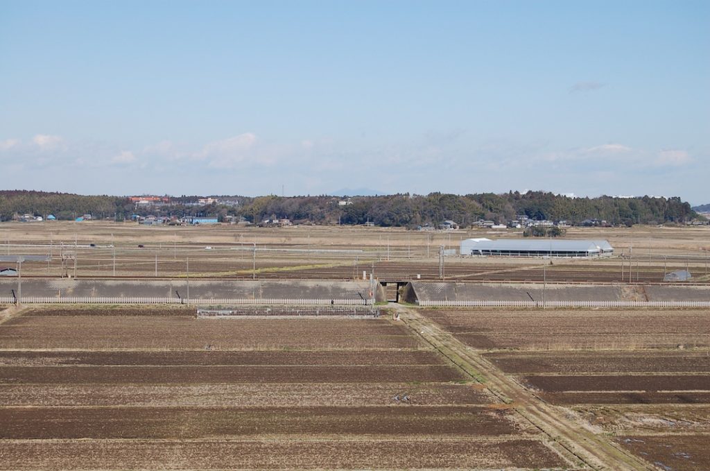 ハイキングがてらスニーカーで行こう　戦国時代へタイムスリップ、本佐倉城跡