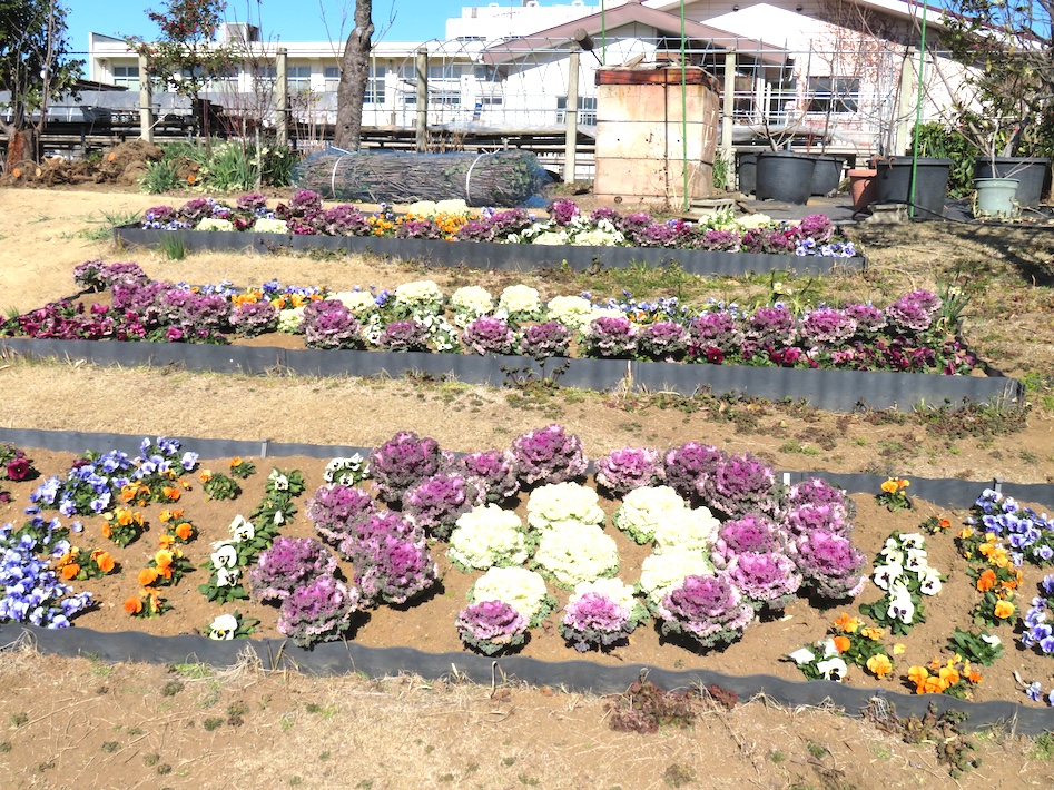 創立50周年を迎える　地域とつながる大人の学び舎（や）　千葉県生涯大学校ってどんなところ？