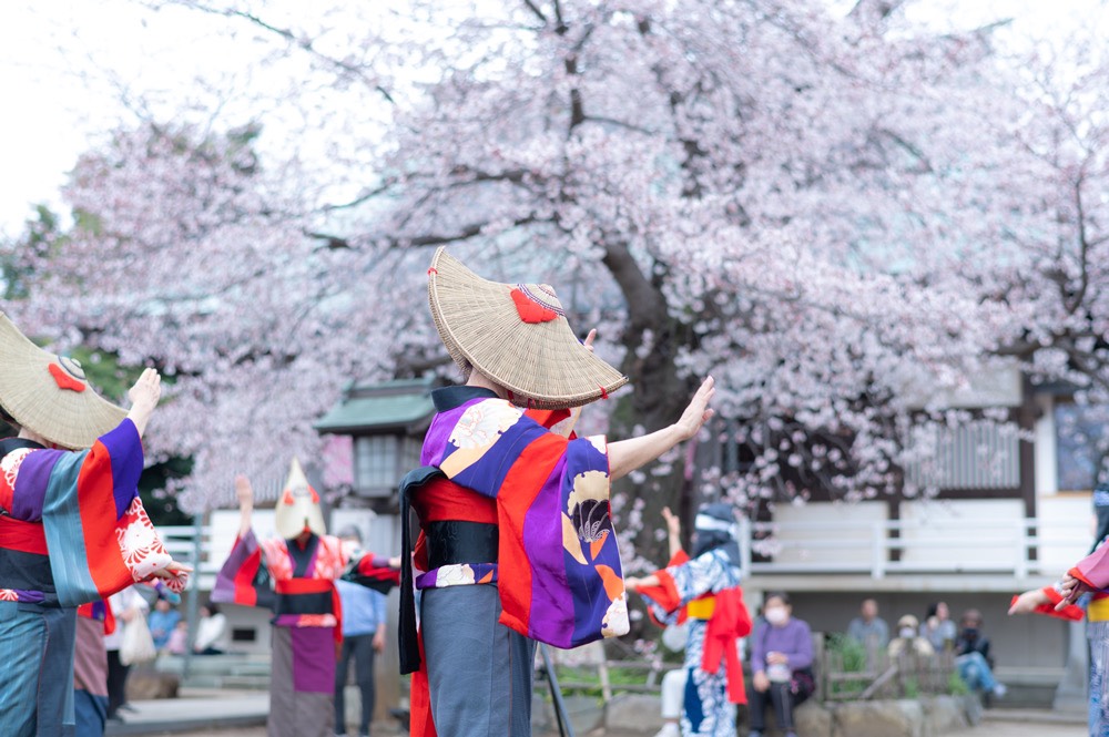 瀧櫻まつり(過去開催の様子)