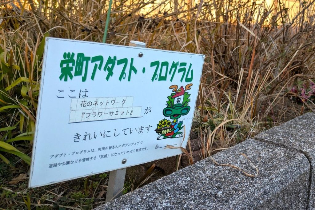 花のネットワーク「フラワーサミット」ふれプラ駐輪場前がフラワーサミットの花壇