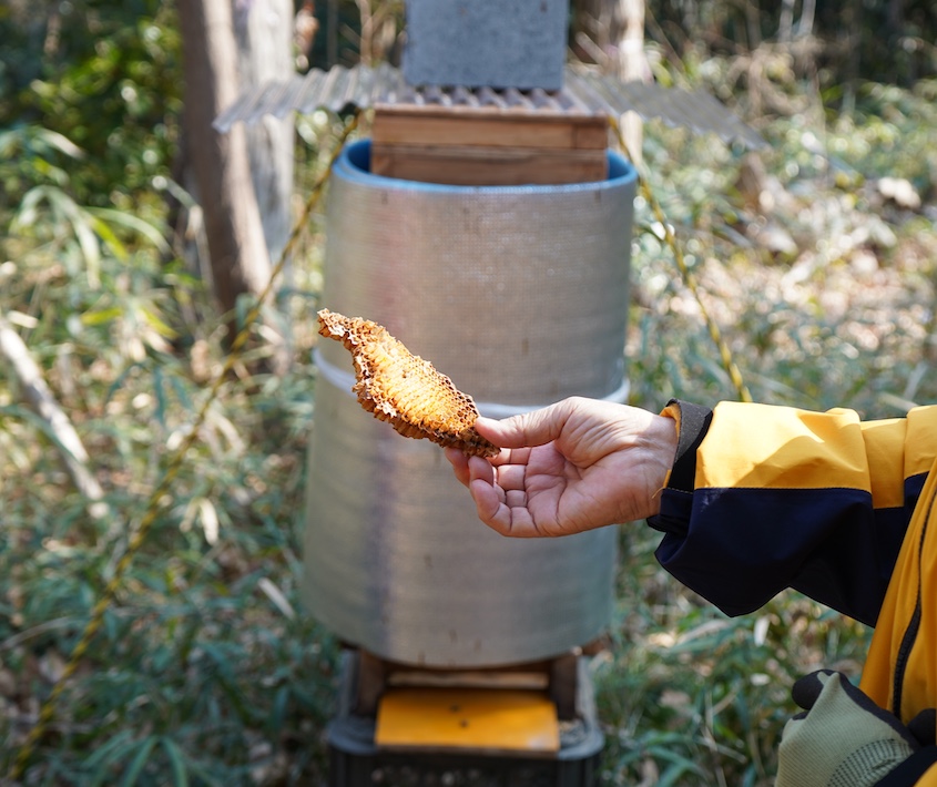 都市の中の森と共に生きる 森林整備活動団体「森のとびら~森といつまでも」