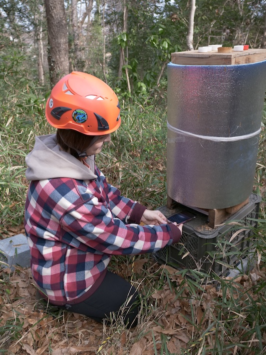 都市の中の森と共に生きる 森林整備活動団体「森のとびら~森といつまでも」