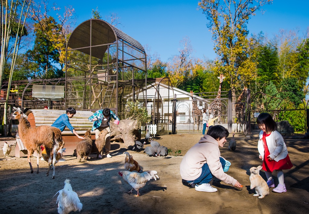 【千葉県】子どもの「感性」が育つおでかけスポット6選！