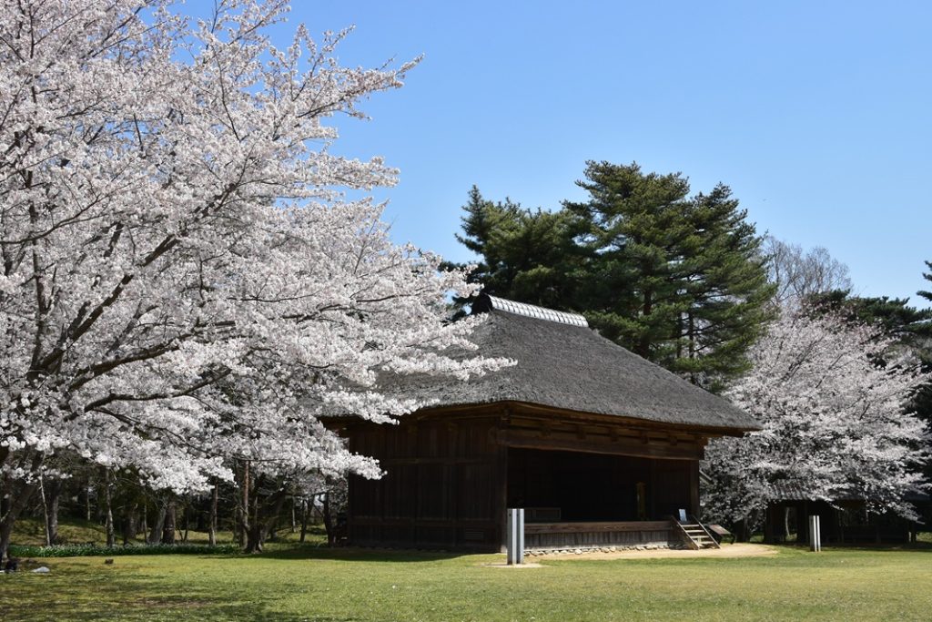【千葉県】子どもの「感性」が育つおでかけスポット6選！