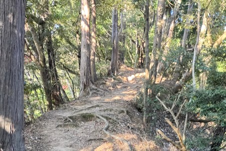 もみじ谷への道