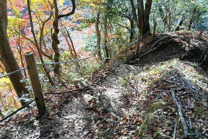 もみじ谷3