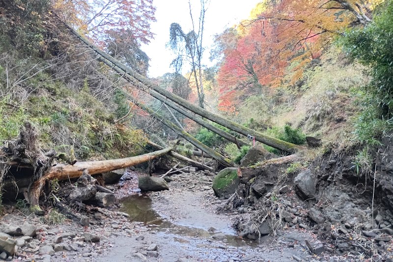 日高邸跡への道