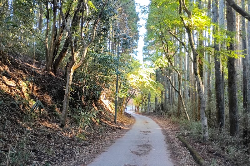 駐車場へ戻る道