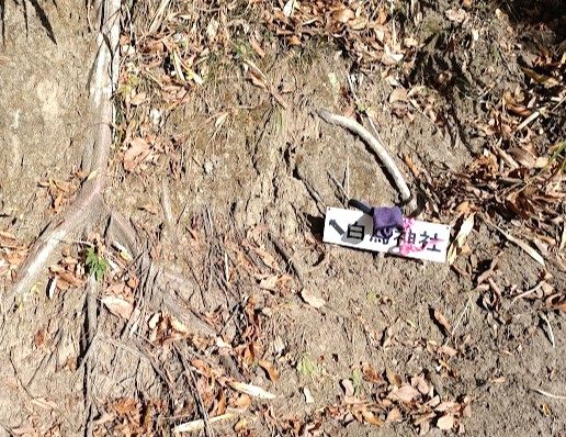 『房総低名山』大福山　　白鳥神社の案内