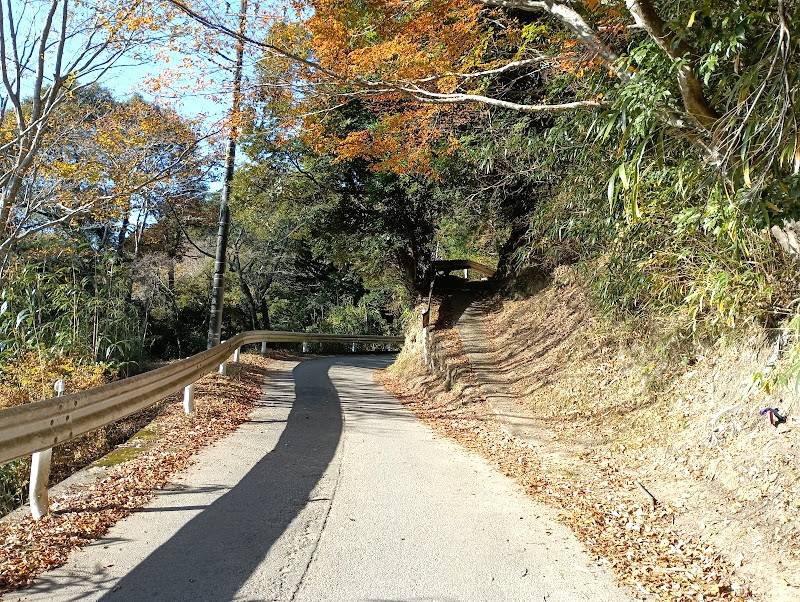 『房総低名山』大福山　白鳥神社への道