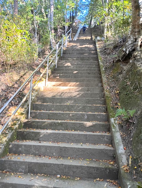白鳥神社への石段
