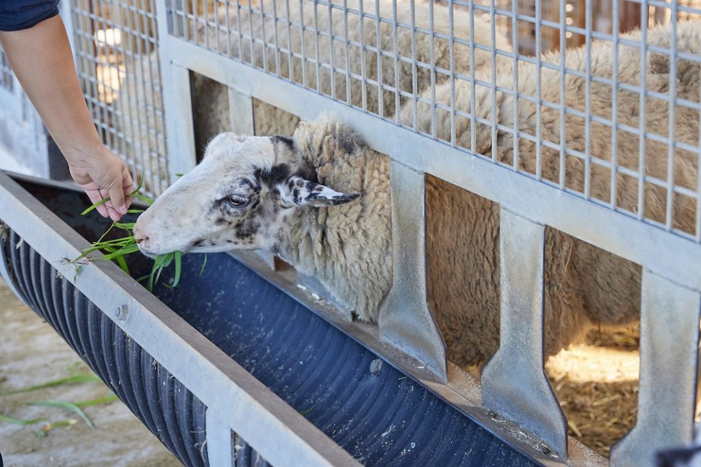 【千葉県】子どもの「感性」が育つおでかけスポット6選！