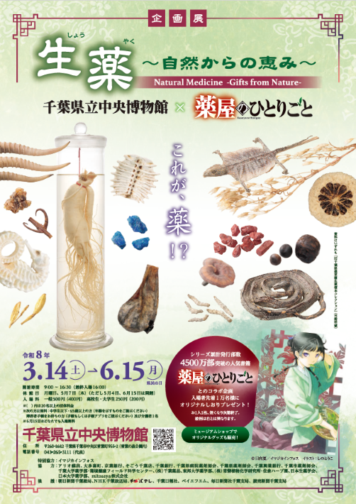 「生薬～自然からの恵み～」チラシ表