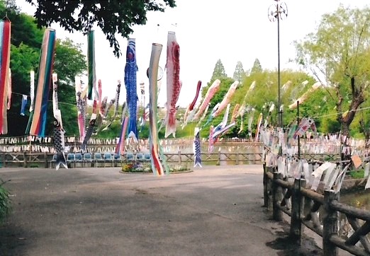 「千代田調整池」のこいのぼり