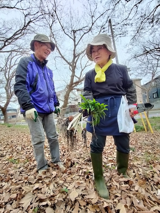 【船橋市】丸山と藤原森での保全活動が40周年　「丸山サンクチュアリ」藤原市民の森、清掃・保全活動