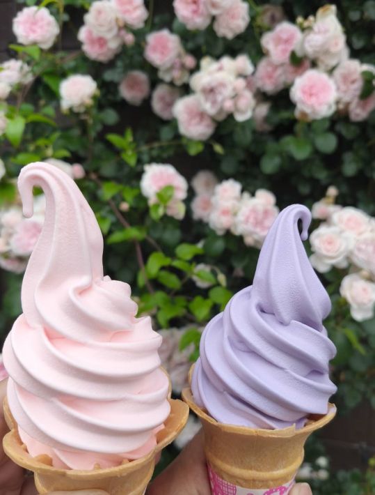 ハーブ園&ラベンダー畑2026 ラベンダーランド ソフトクリーム 18番