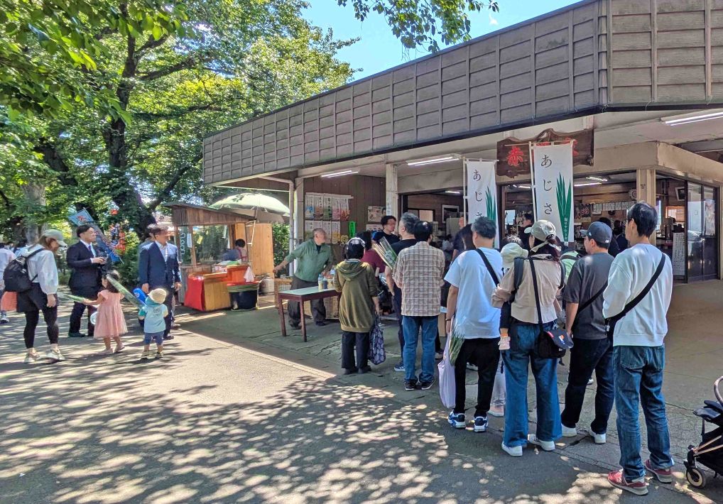 あじさいねぎの香りと本土寺のアジサイ
