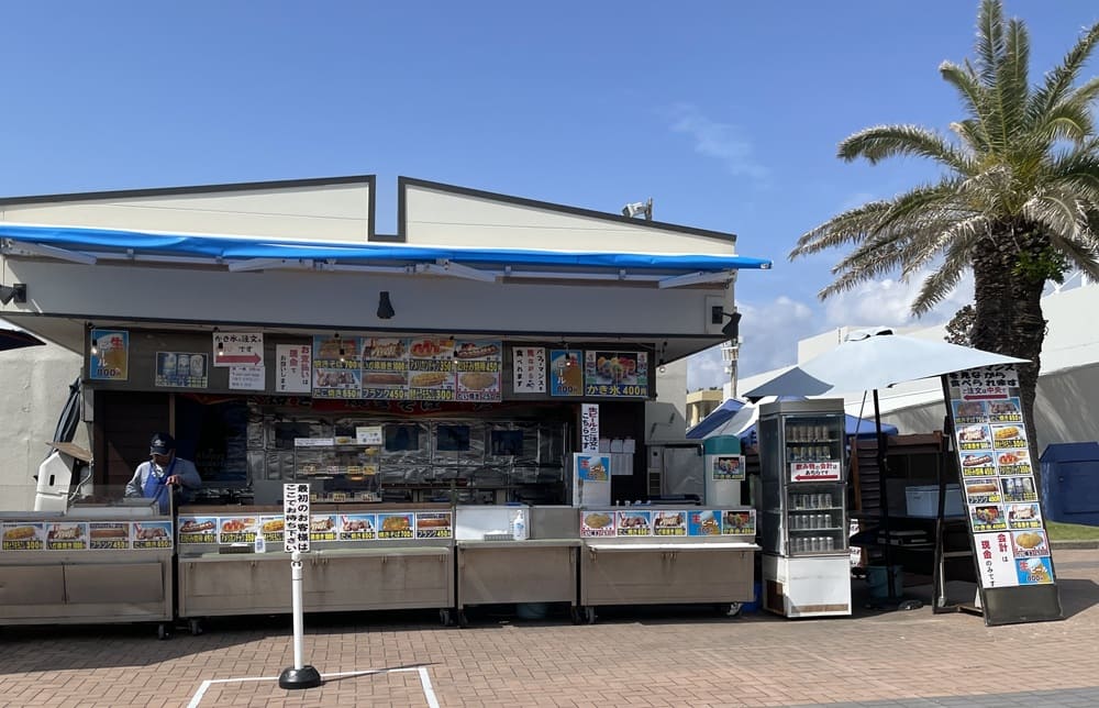 鴨川シーワールドでソロ活してみた!ファミリーにもおすすめの楽しみ方