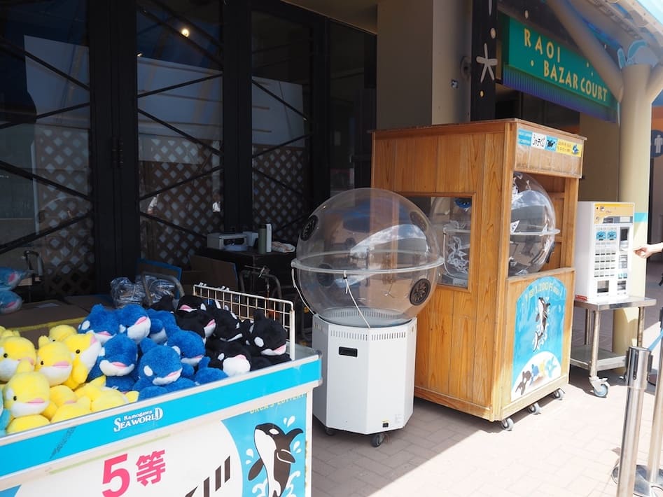 鴨川シーワールドでソロ活してみた!ファミリーにもおすすめの楽しみ方