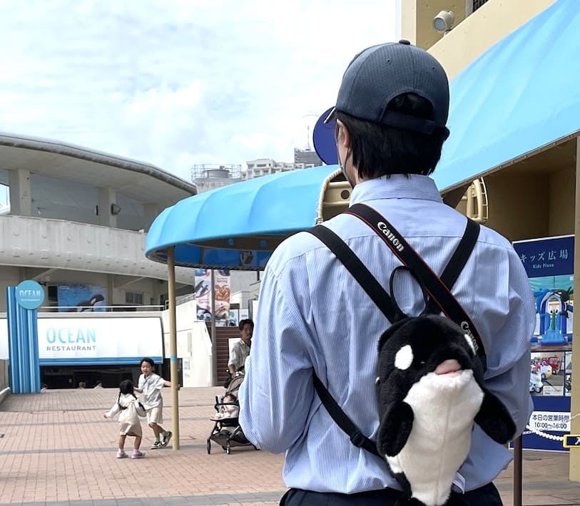 鴨川シーワールドでソロ活してみた!ファミリーにもおすすめの楽しみ方
