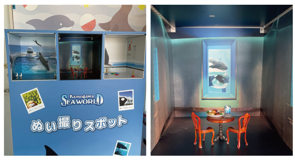 鴨川シーワールドでソロ活してみた!ファミリーにもおすすめの楽しみ方