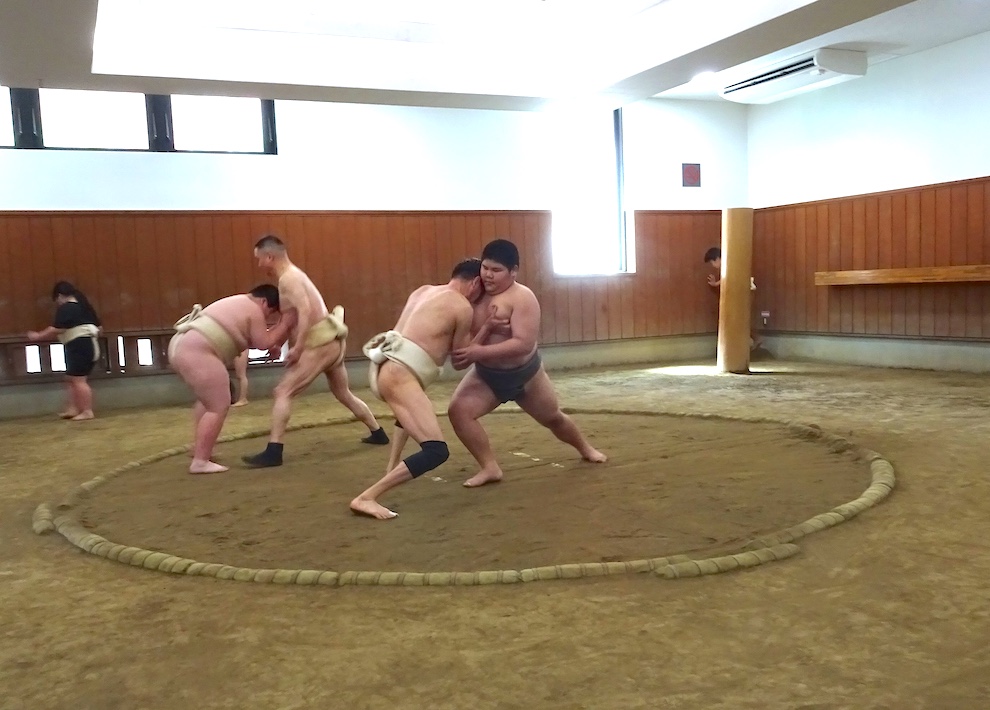 厳しくも伸び伸びと稽古中　船橋相撲クラブ