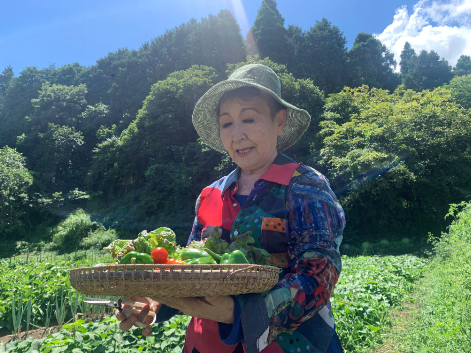 収穫した野菜からパワーをもらいます