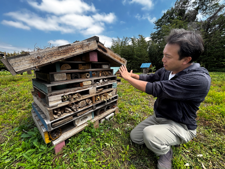 巣箱のほか、「バグハウス」と呼ばれる虫の居場所も設置。ハナバチの一種が営巣していた