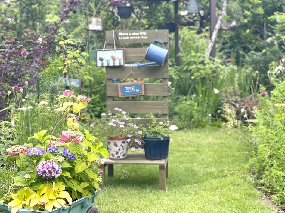 オフィス蜂八　養蜂場に隣接するお庭には、季節の花々が咲き誇ります