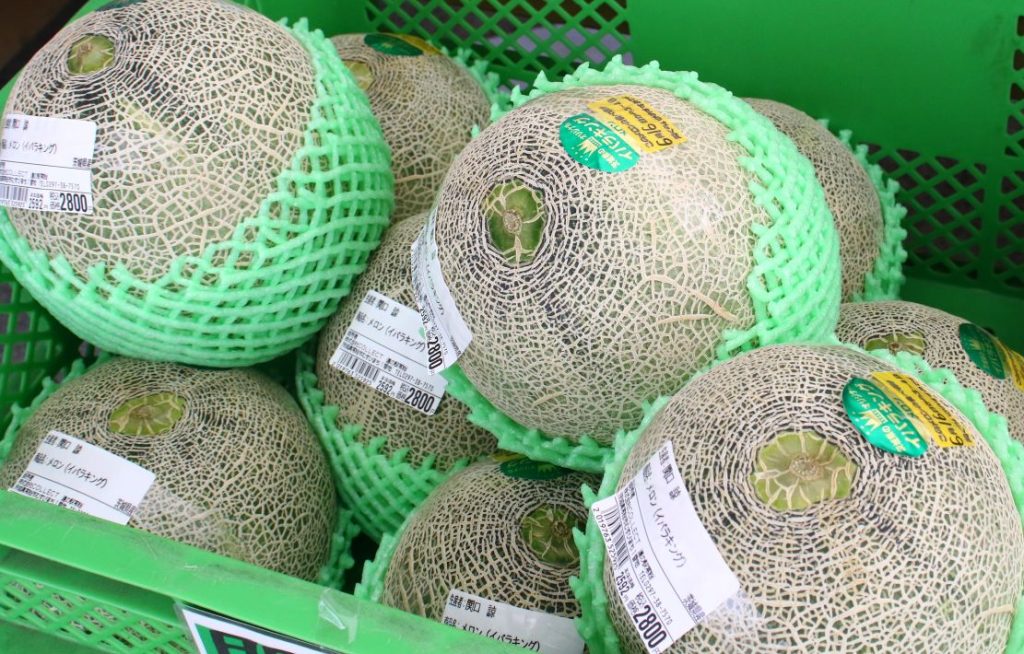 道の駅常総　茨城県はメロンの生産量日本一