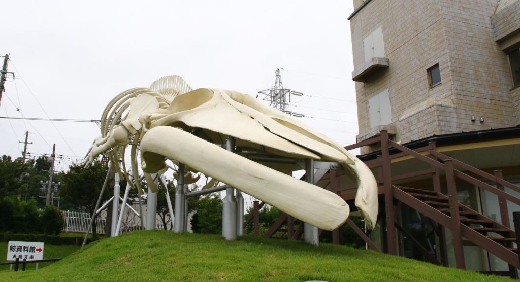 道の駅和田浦WA・O!　屋外にはシロナガスクジラの標本（レプリカ）があります