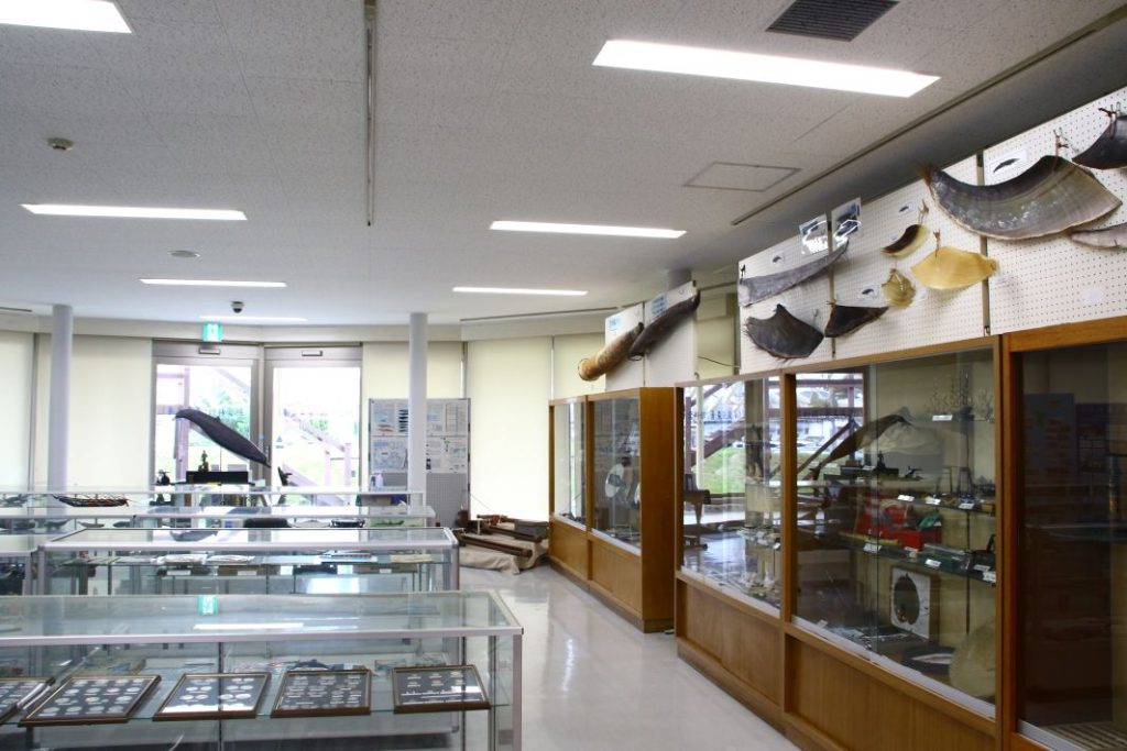 道の駅和田浦WA・O!　鯨資料館（勇魚文庫）は入場無料