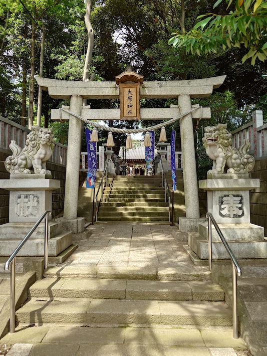 京成電車の車窓から見える鎮守の森　習志野の杜　ご縁結びの大原神社