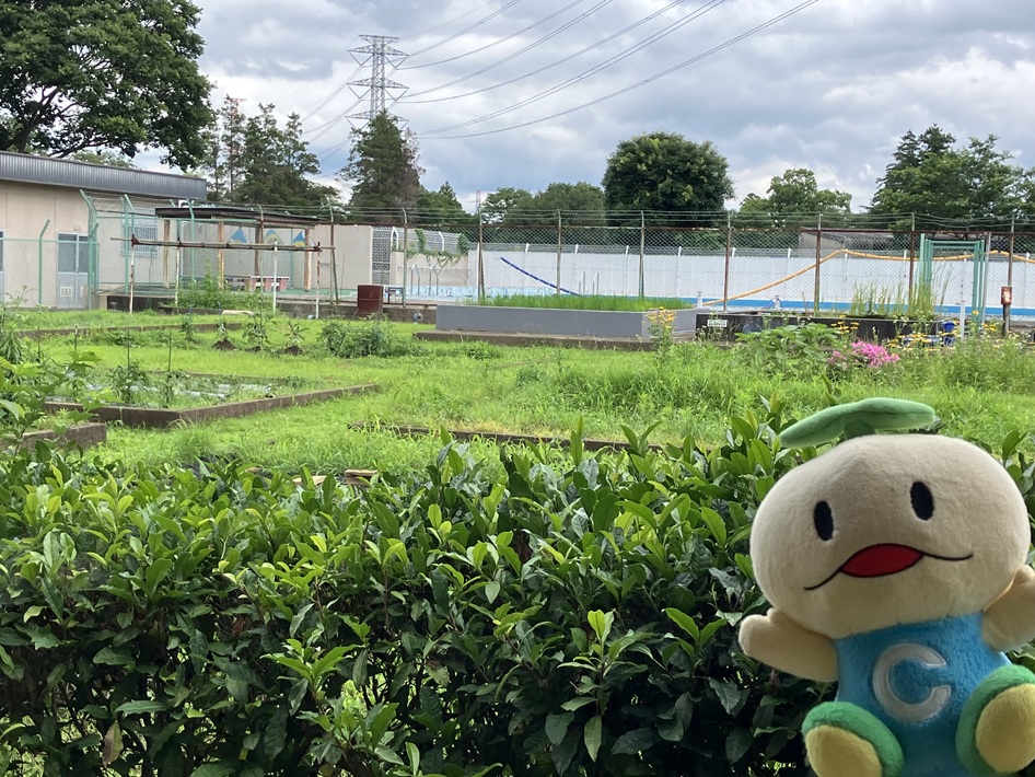 地域新聞社のマスコットキャラクターちいきくんが千葉市立坂月小学校にいってきたよ