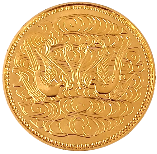 天皇陛下御在位10万円金貨