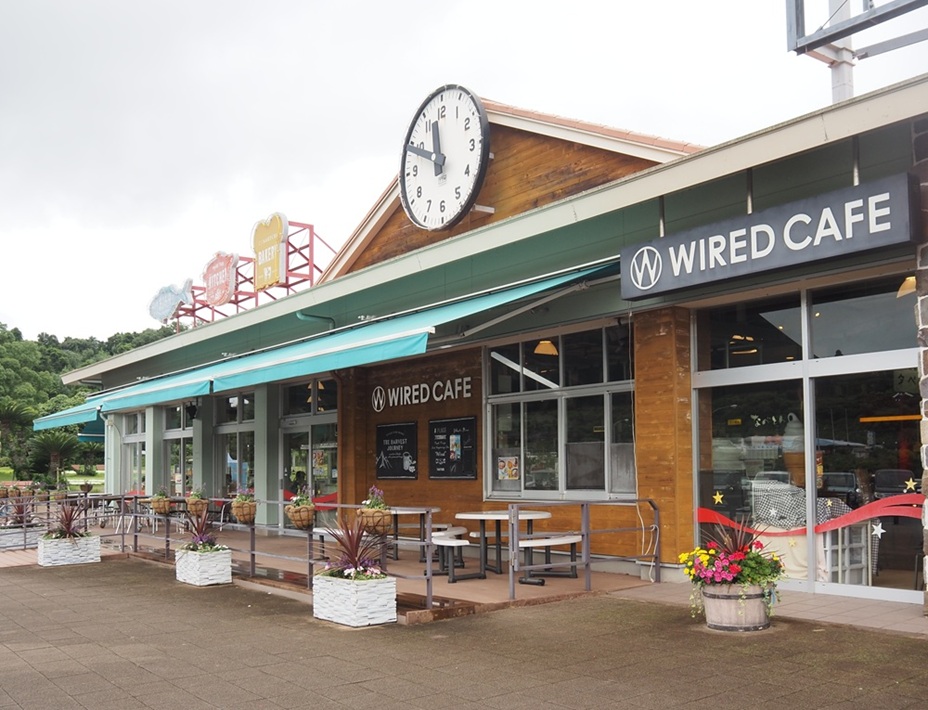 1.本格カフェの濃厚ピーナッツソフトクリーム【市原SA（上り線）「WIRED CAFE」】