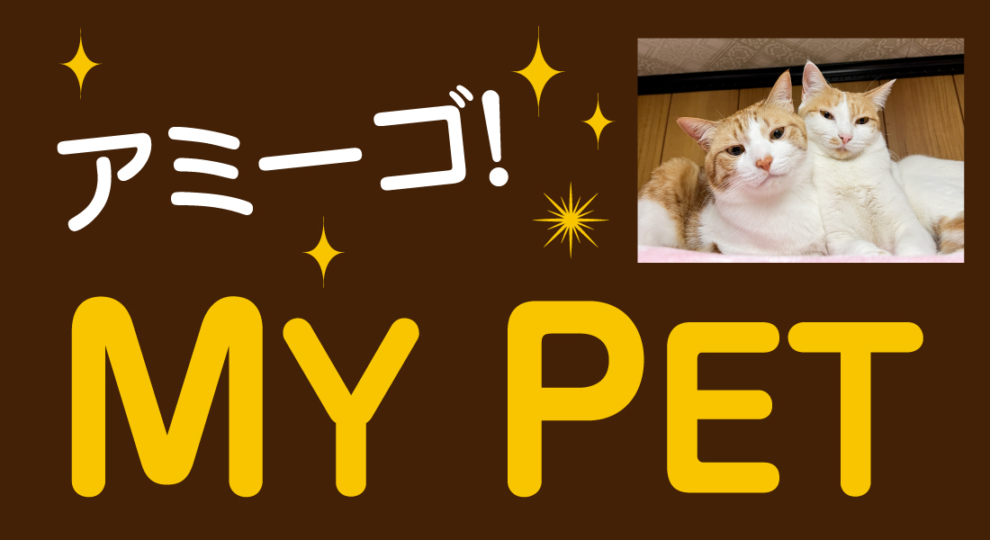 アミーゴ！MY PET