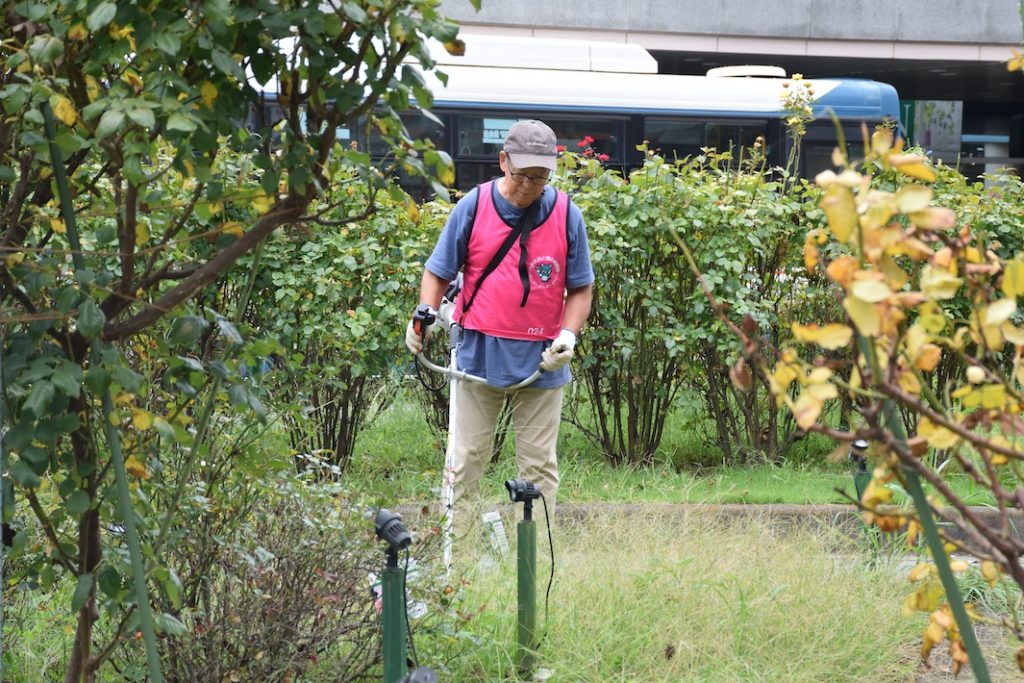 バラいっぱいの街づくり　八千代花と緑の応援団